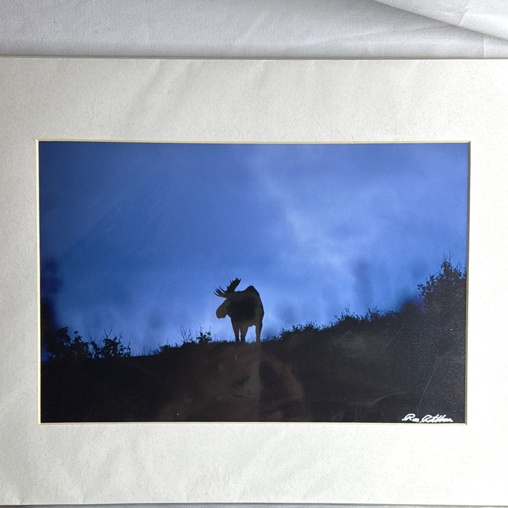 Moose at First Light Signed Art Print by Ronald Rathbun